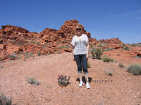 топ с белыми бабочками2