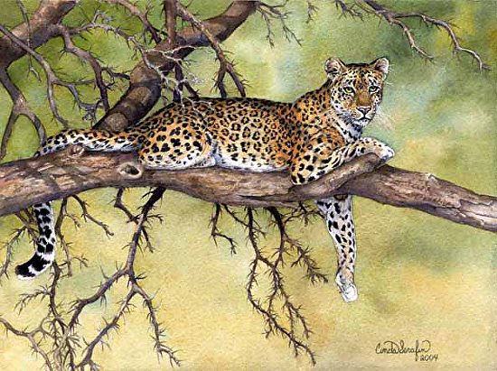 hanging-out-leopard