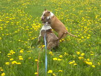 VFL.RU - ваш фотохостинг