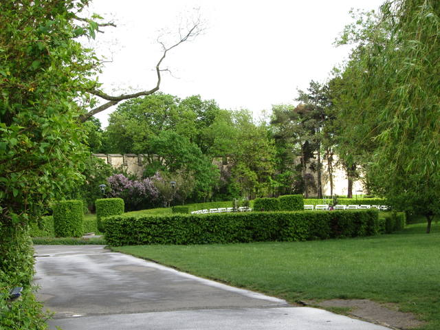 2399066_m.jpg