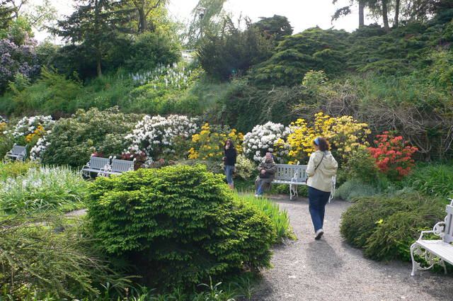 2399080_m.jpg