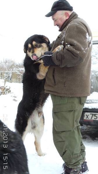 хочу на ручки