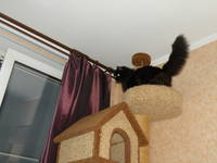 VFL.RU - ваш фотохостинг