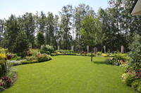 Поговорим о кошках 23