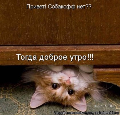 http://images.vfl.ru/ii/1372647222/ce02b2fa/2621045.jpg