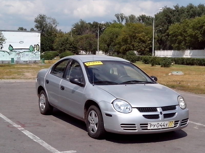 2624916.jpg