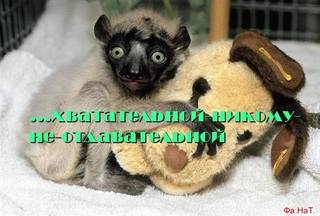 VFL.RU - ваш фотохостинг