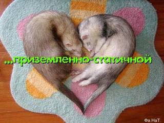 VFL.RU - ваш фотохостинг