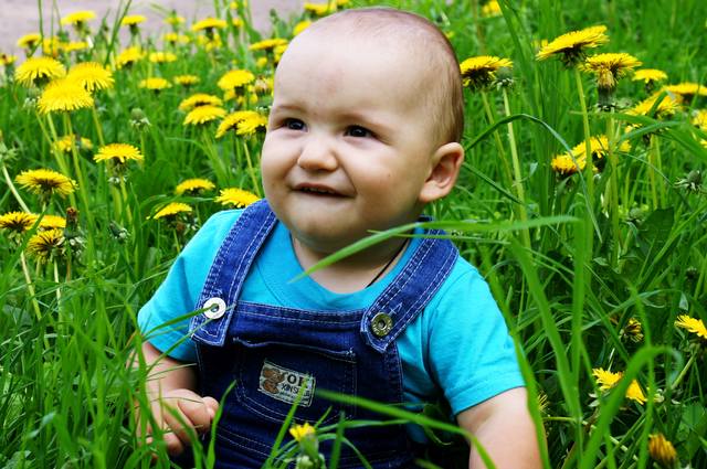 VFL.RU — ваш фотохостинг