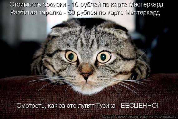 Эти забавные животные