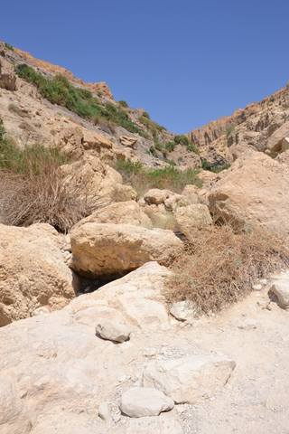 Израиль. Продолжение истории.