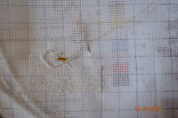 Подсолнухи