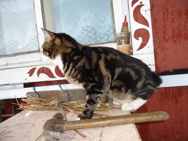 VFL.RU - ваш фотохостинг VFL.RU - ваш фотохостинг