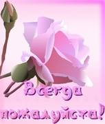 VFL.RU - ваш фотохостинг