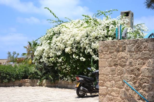 Израиль. Продолжение истории.