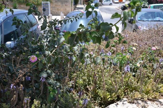 Израиль. Продолжение истории.