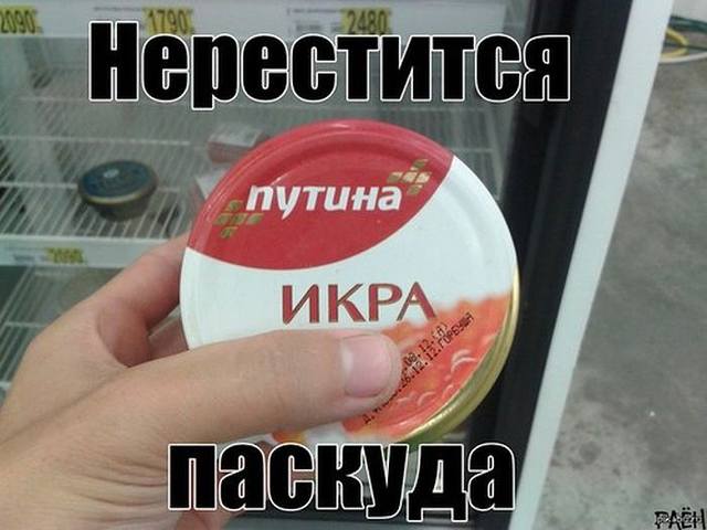 2770612_m.jpg