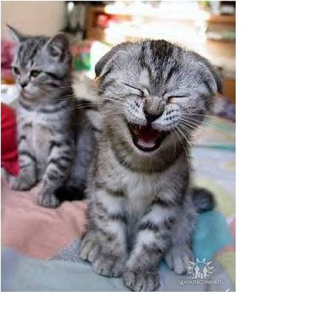 Ура! Получилось!