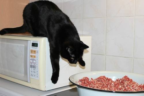 VFL.RU - ваш фотохостинг