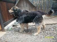 VFL.RU - ваш фотохостинг