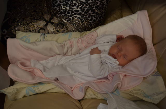 VFL.RU — ваш фотохостинг