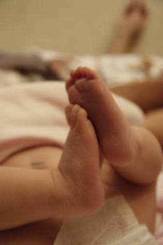 VFL.RU — ваш фотохостинг