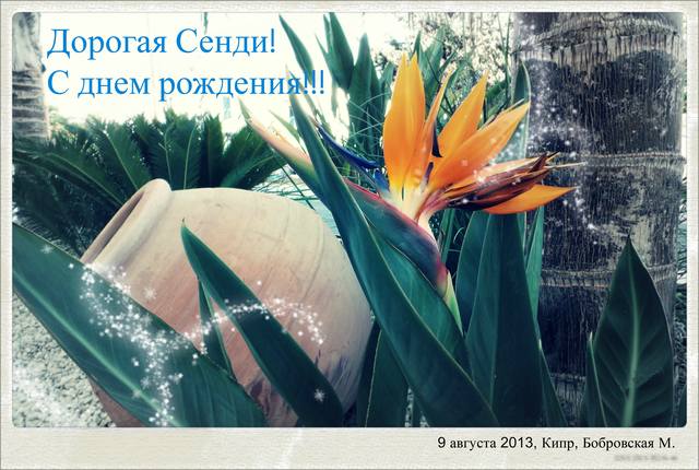 01 цветок11