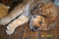 VFL.RU - ваш фотохостинг