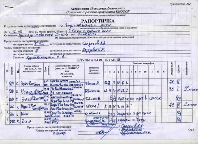 Кассовая рапортичка на билеты образец