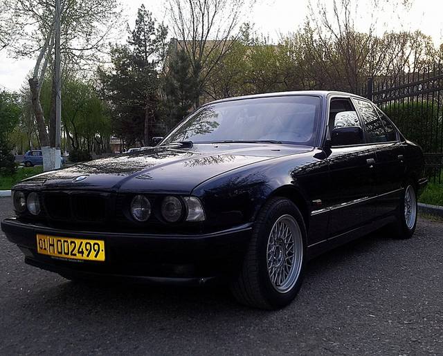 2965641_m.jpg