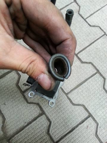 2988145_m.jpg