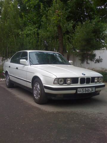 3003170_m.jpg