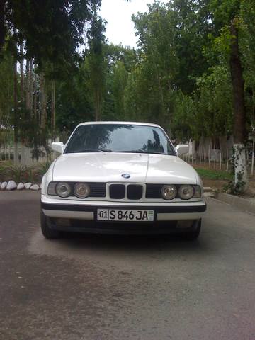 3003169_m.jpg