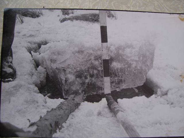 3064187_m.jpg