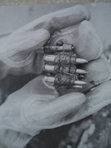 3064239_m.jpg