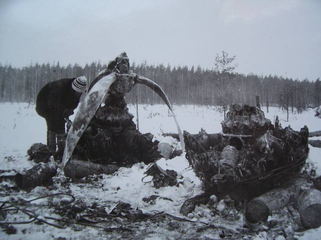 3068678_m.jpg