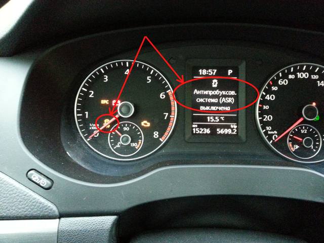 3080058.jpg