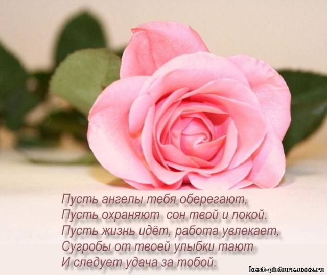 Прикольные поздравления с автомобилистом за 354