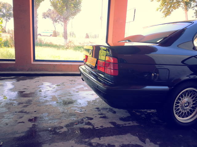 3120518_m.jpg