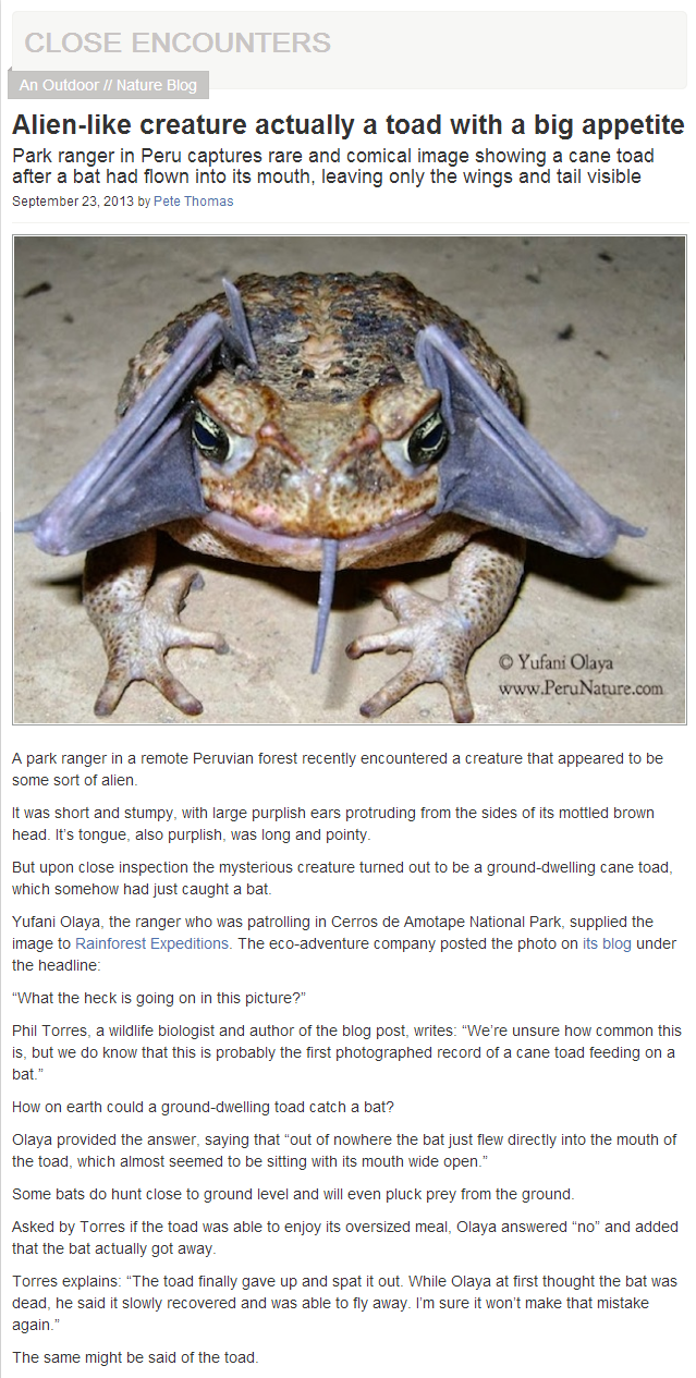 3164624.png