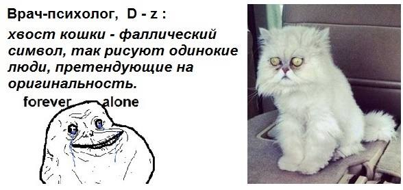 Кот путена 13