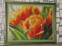 тюльпаны