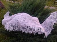 оливковая роща