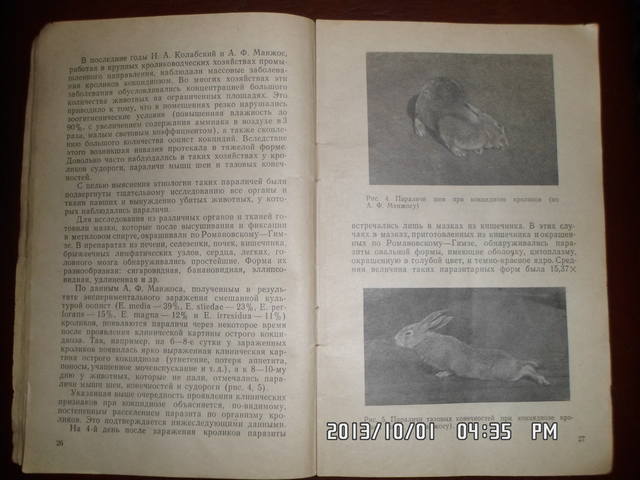 Кокцидиоз кроликов. Н.А.Колабский. 3210192_m