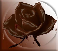 chocolate-rose