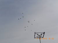 VFL.RU - ваш фотохостинг