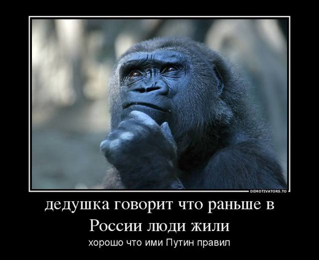 VFL.RU - ваш фотохостинг