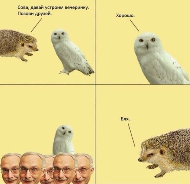 Картинка дня