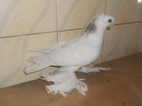 Фото ноябрь 2013 004