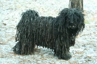 VFL.RU - ваш фотохостинг